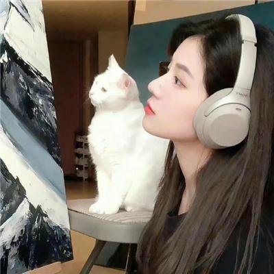 巨幅宝丽莱大师